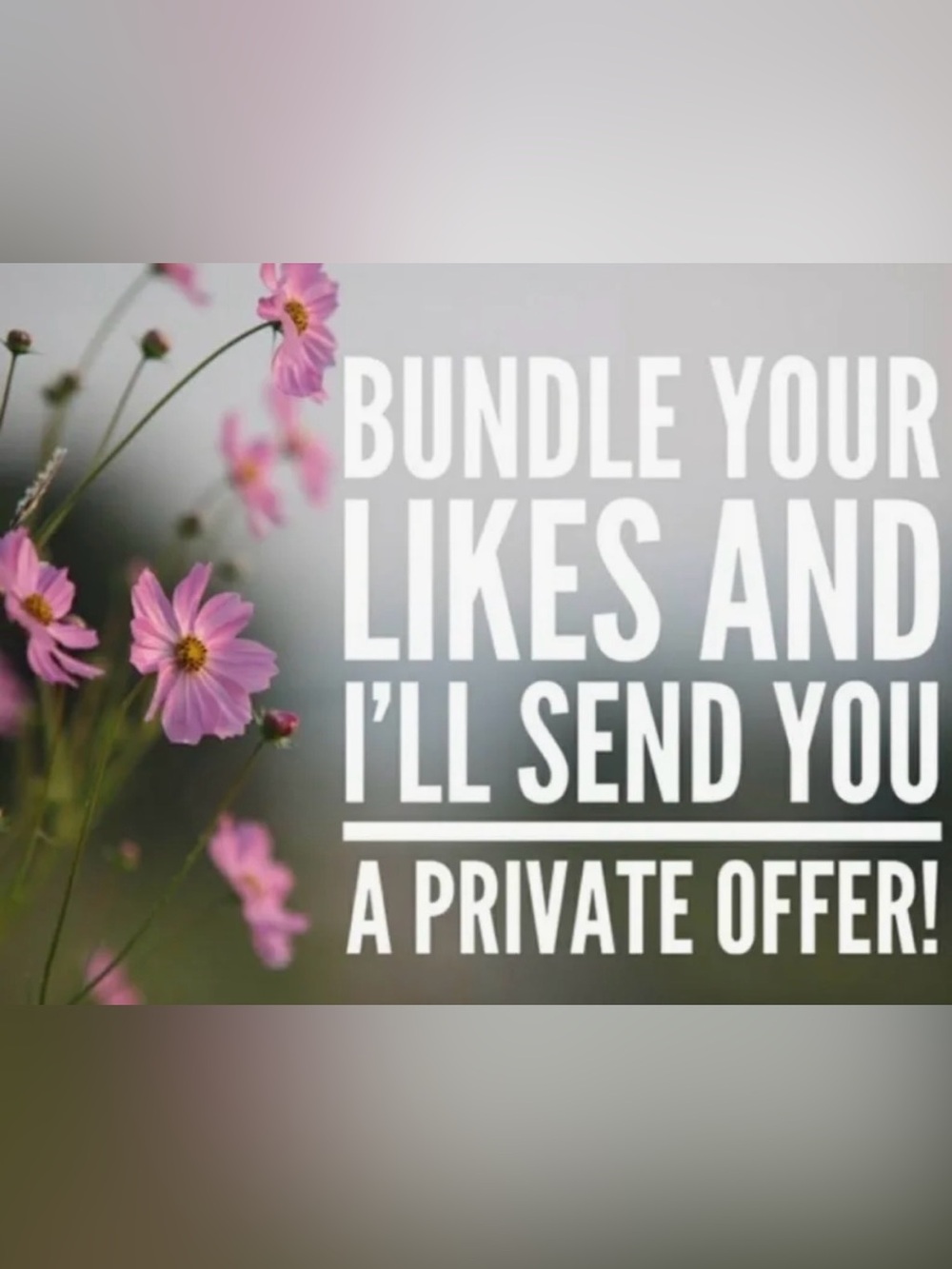 🩷 Bundle Your Likes and I’ll Send you an Offer!